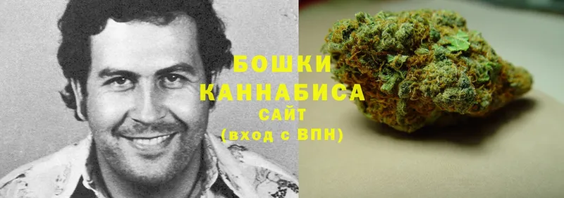 Купить закладку Краснослободск Alpha-PVP  hydra ссылки  МЕФ  Конопля  ГАШИШ  Cocaine 