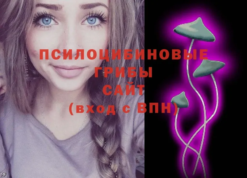 Галлюциногенные грибы Cubensis  Краснослободск 